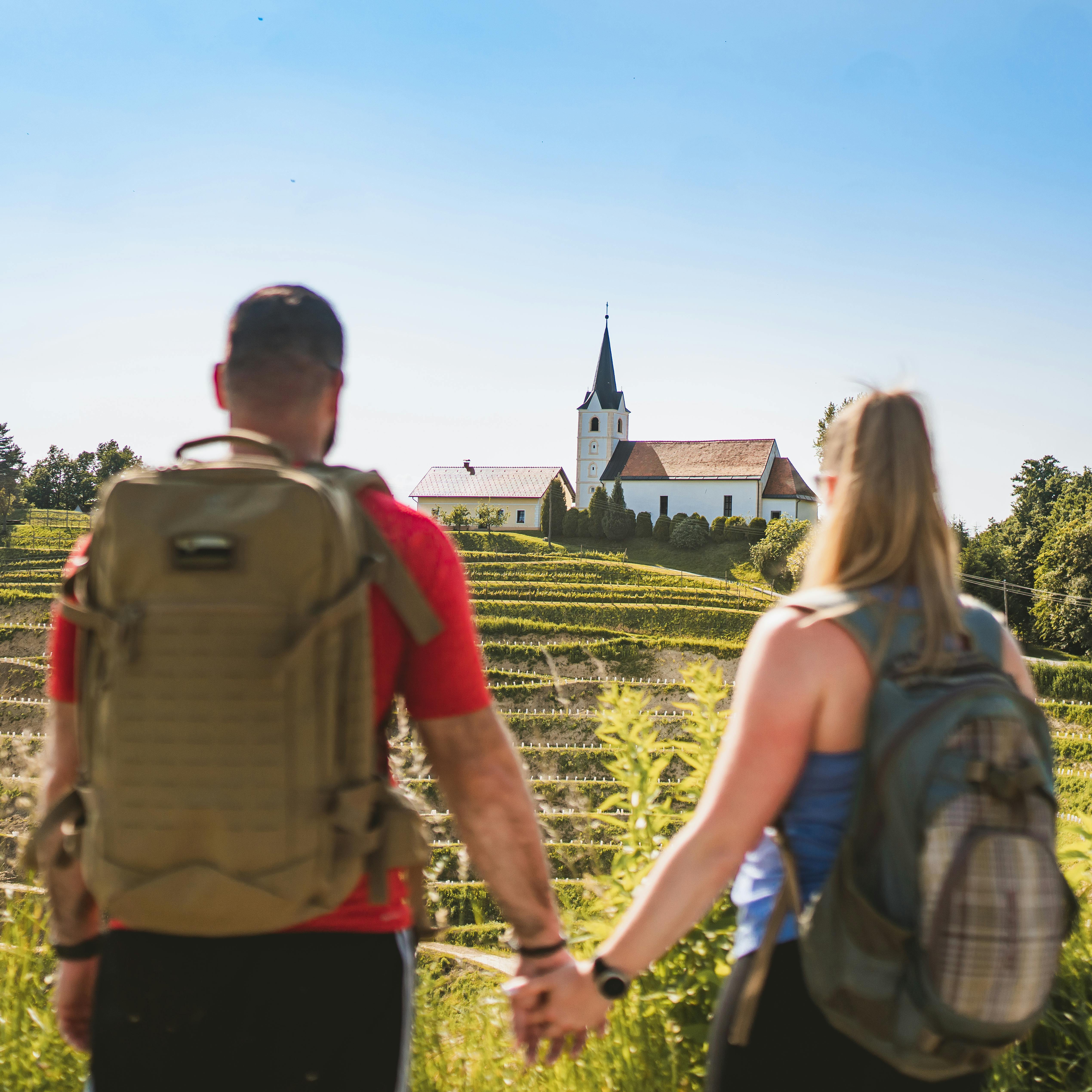 Culinary Adventure Among the Vineyards
